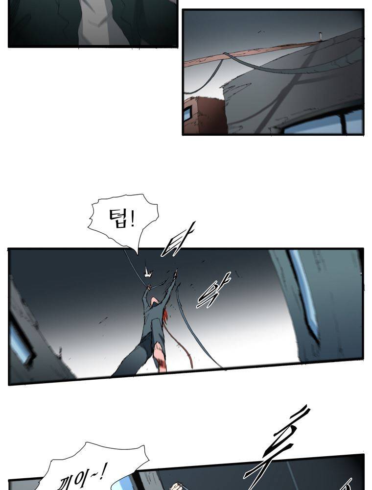 트레이스 장미 1 53
