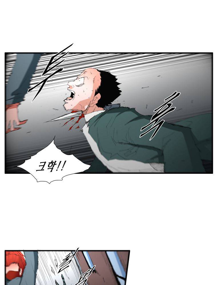 트레이스 장미 1 55