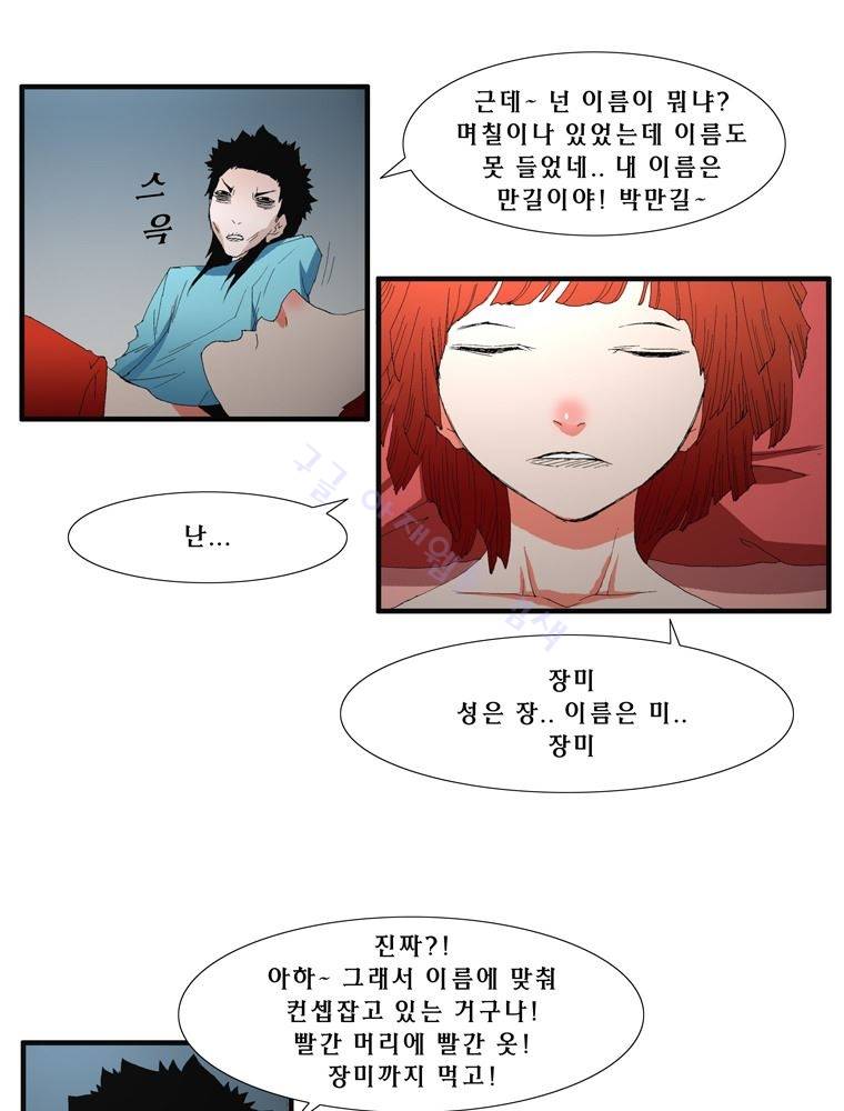 트레이스 장미 11 30