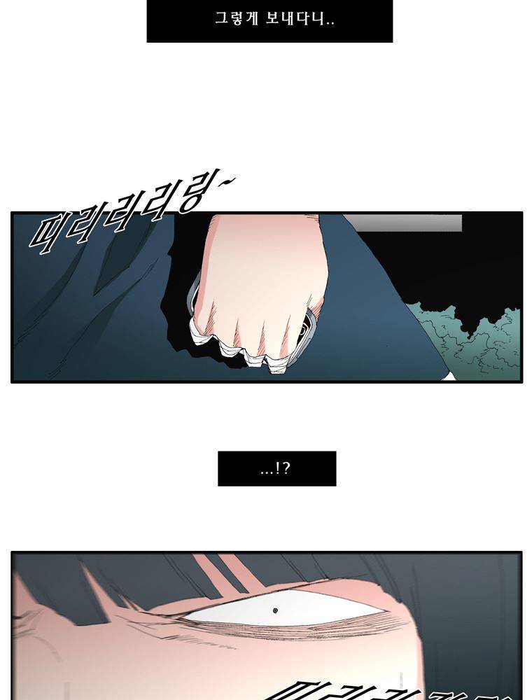 트레이스 장미 22 9