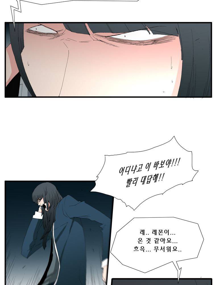 트레이스 장미 22 13