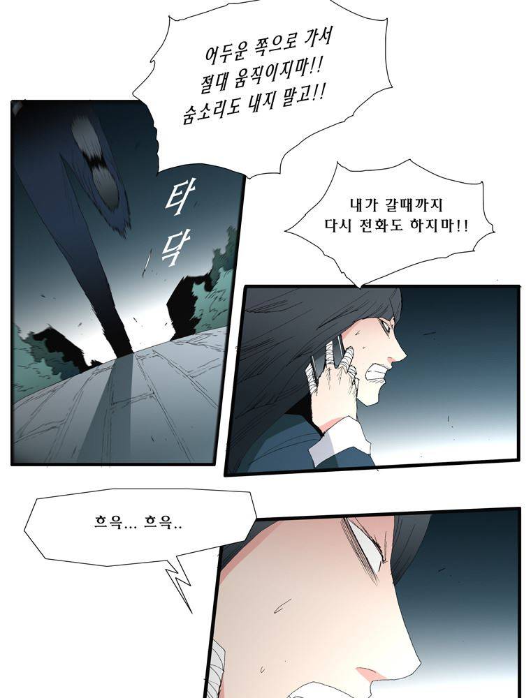 트레이스 장미 22 16