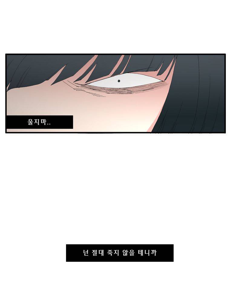 트레이스 장미 22 19
