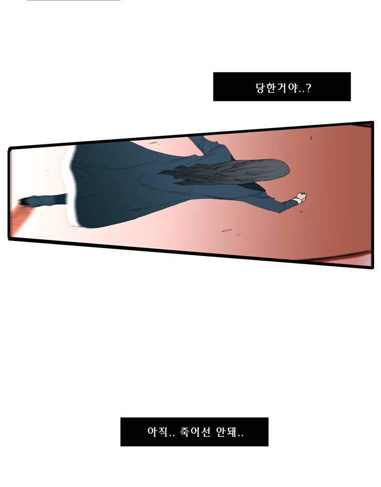 트레이스 장미 22 39