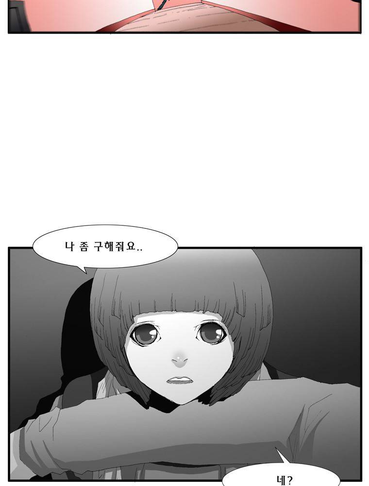 트레이스 장미 22 41