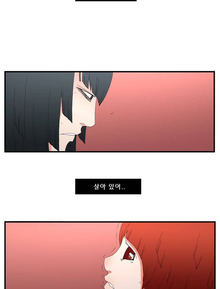 트레이스 장미 22 47