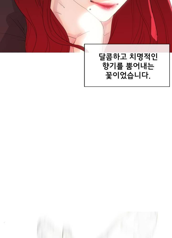 시들지 않는 꽃 프롤로그 3