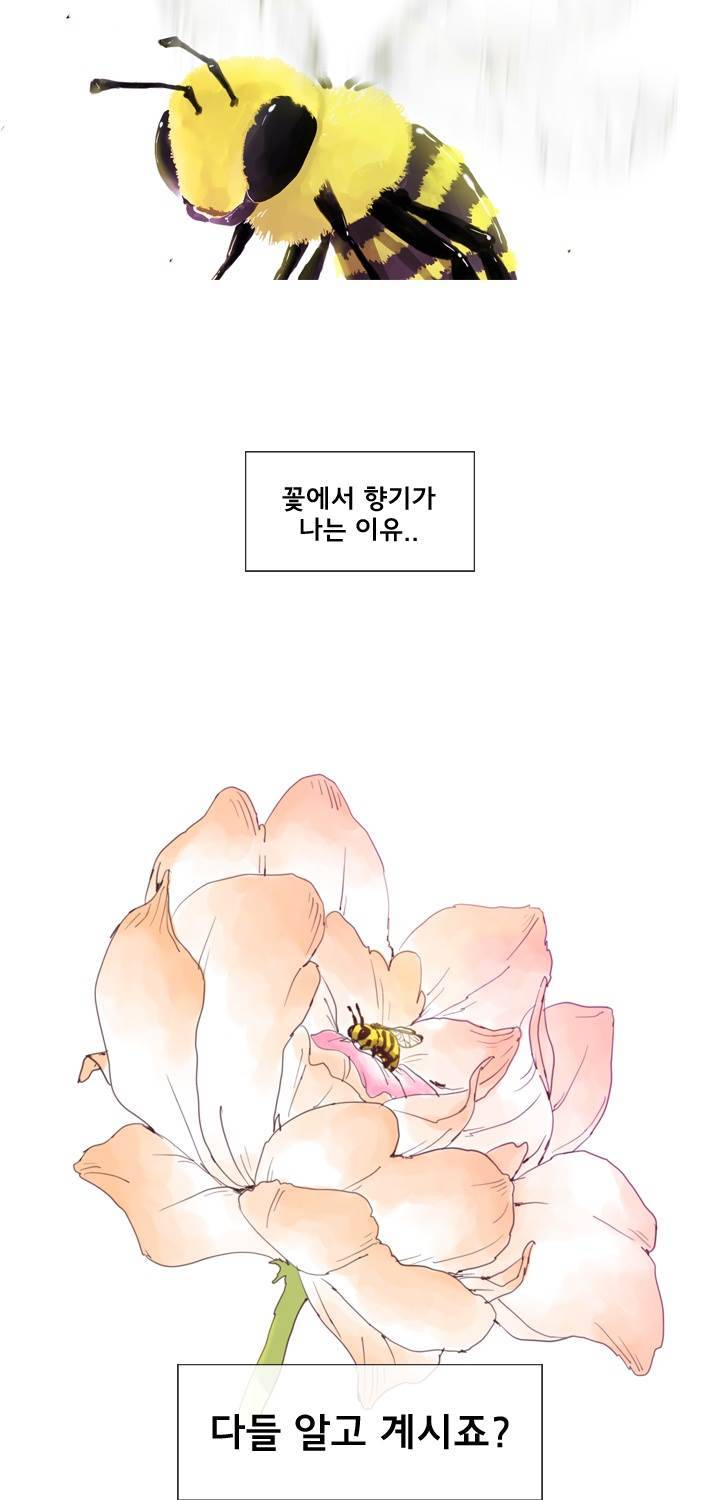 시들지 않는 꽃 프롤로그 4