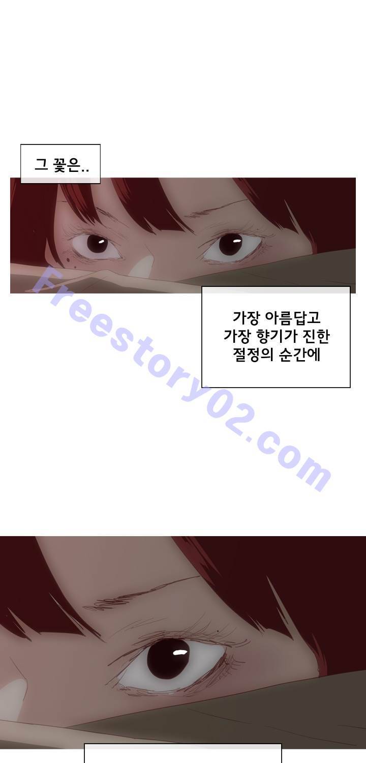 시들지 않는 꽃 프롤로그 16
