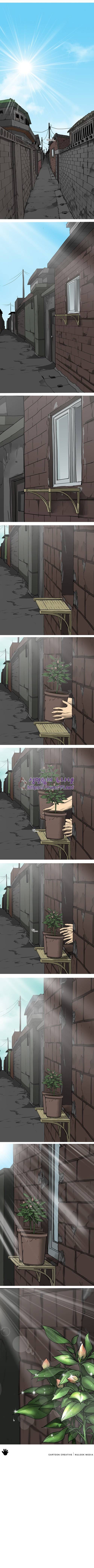 조명가게 27화 - 빛 14