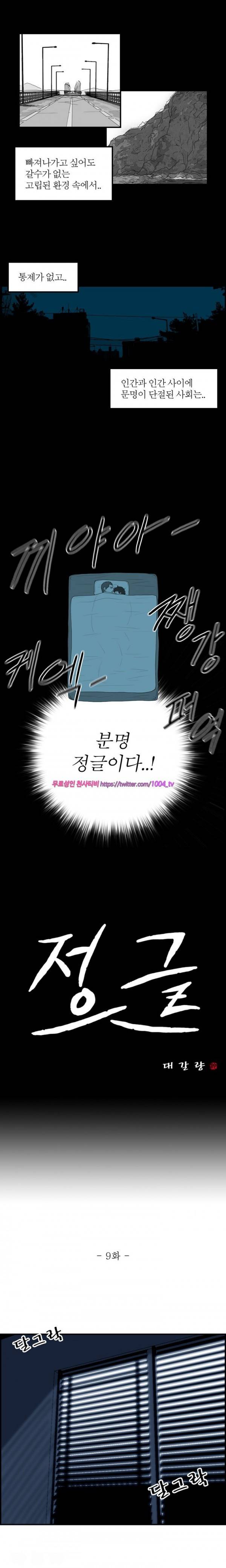 정글 9화 1