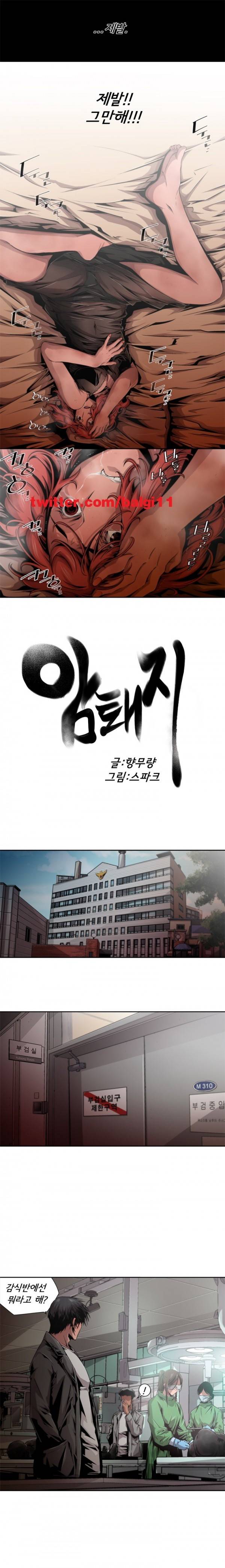 암퇘지 12화 3