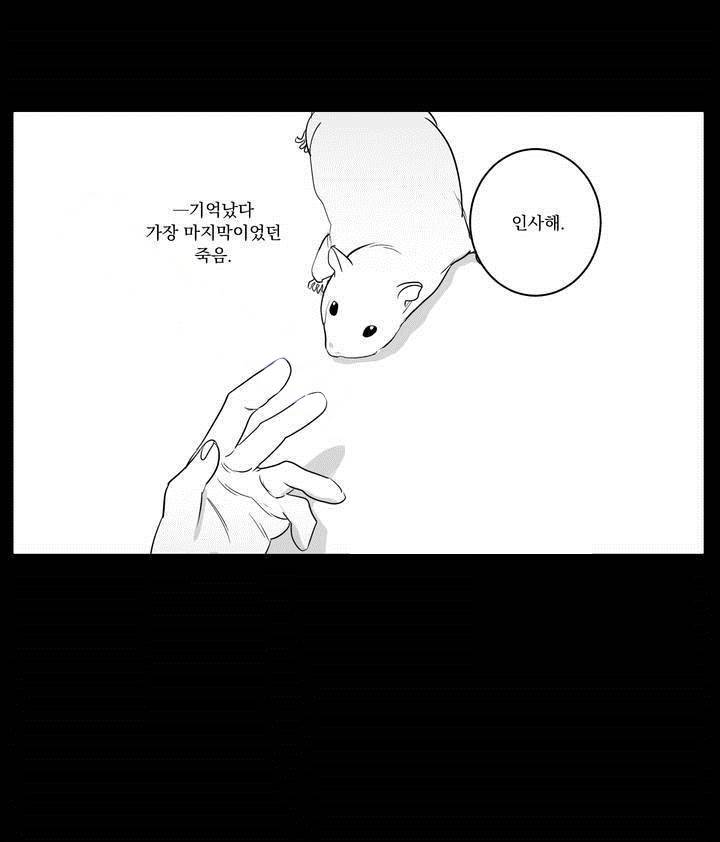 양극의 소년 45화 6