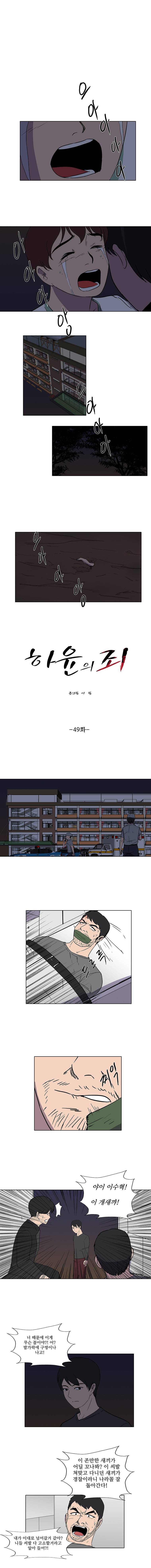 하윤의 죄 49화 1