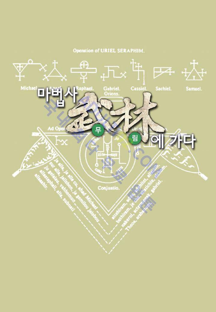 마법사 무림에 가다 27화 1