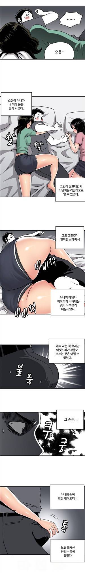 살색전기 30화 - 와이프의 동거녀 와의썰 -2 4