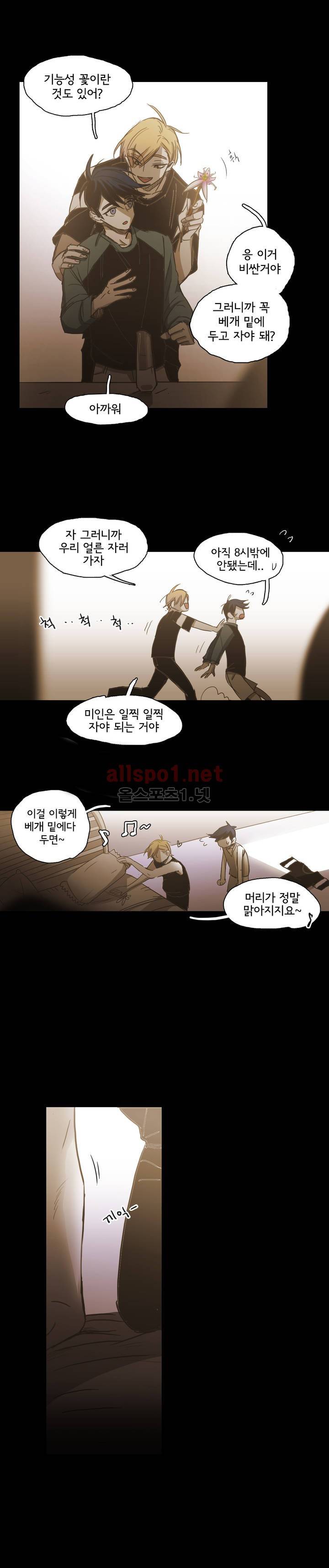 이해불능 외전3 (희노애락): 범의귀 2 마침 7
