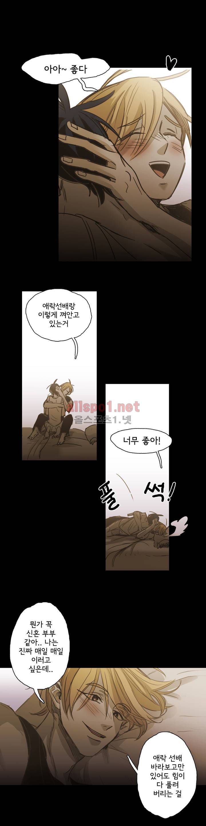 이해불능 외전3 (희노애락): 범의귀 2 마침 10