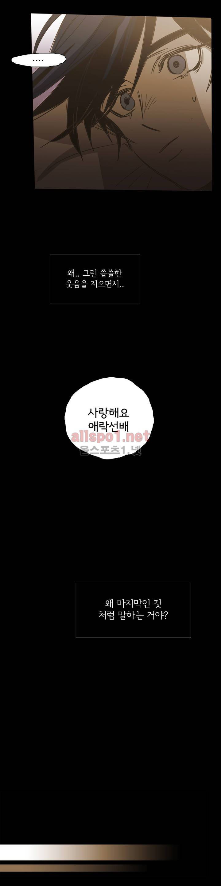 이해불능 외전3 (희노애락): 범의귀 2 마침 13