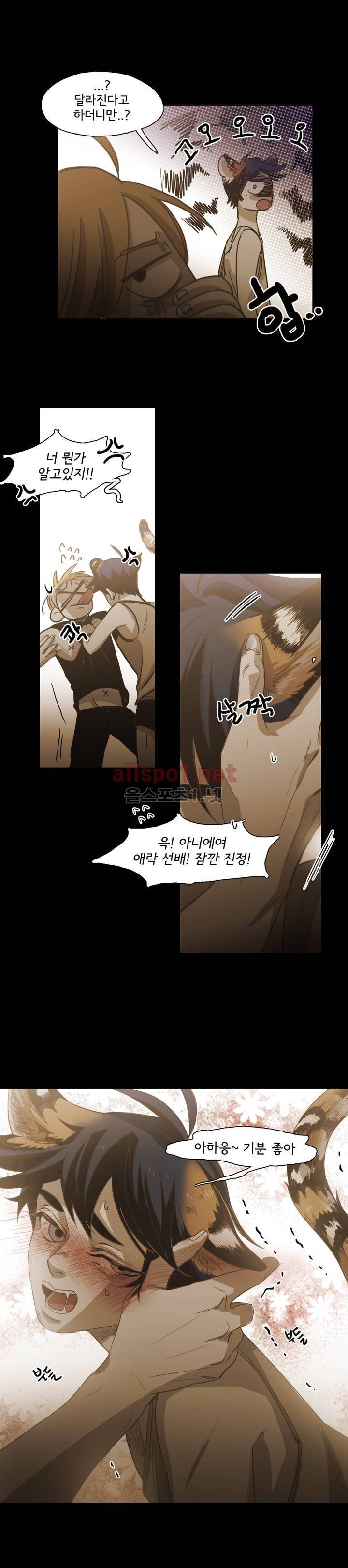 이해불능 외전3 (희노애락): 범의귀 2 마침 17
