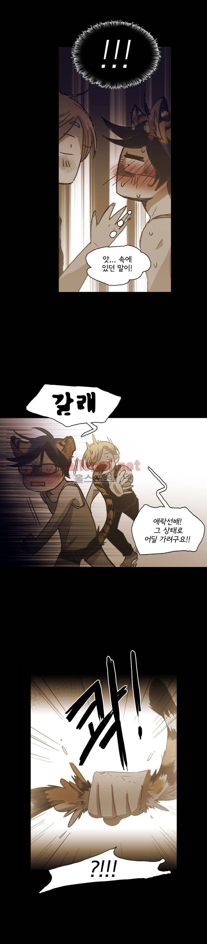 이해불능 외전3 (희노애락): 범의귀 2 마침 18