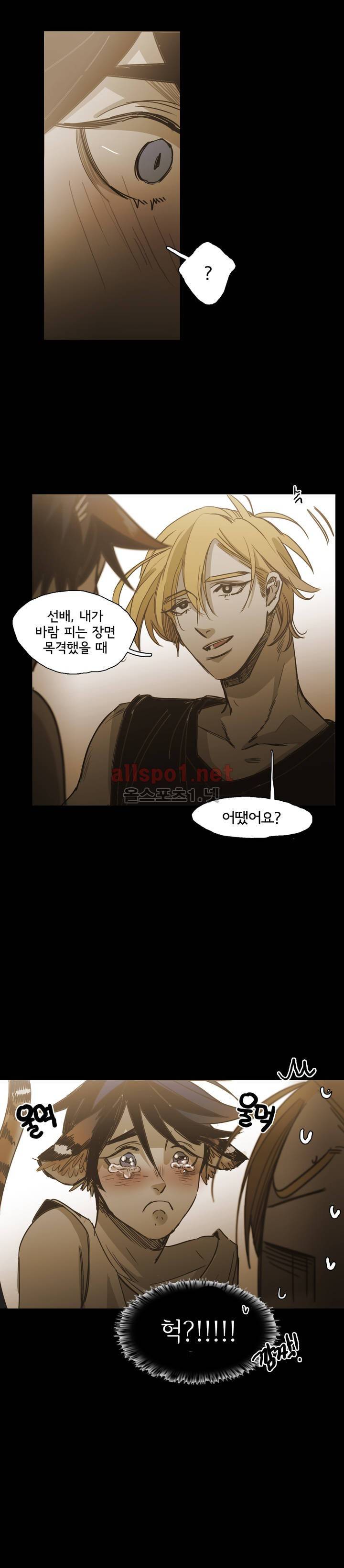 이해불능 외전3 (희노애락): 범의귀 2 마침 25