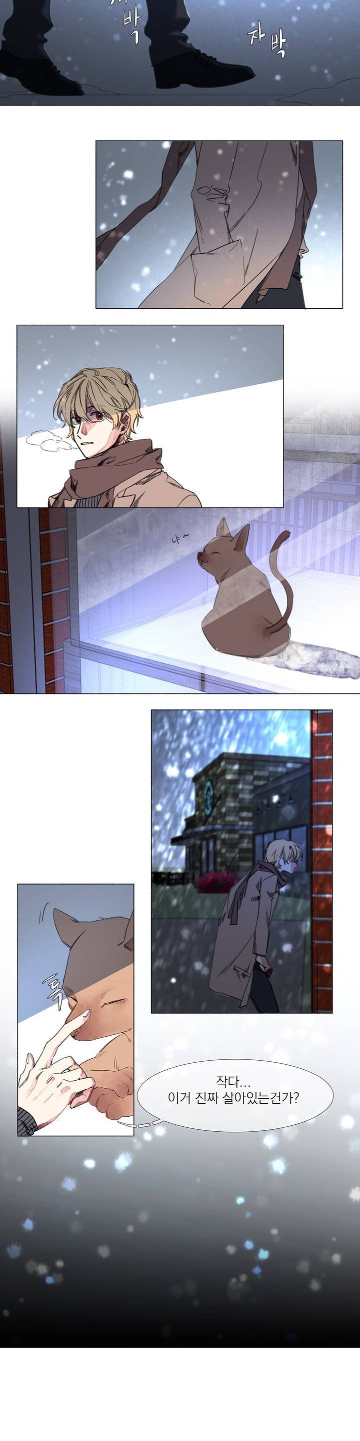 -0.5˚C 0화 10