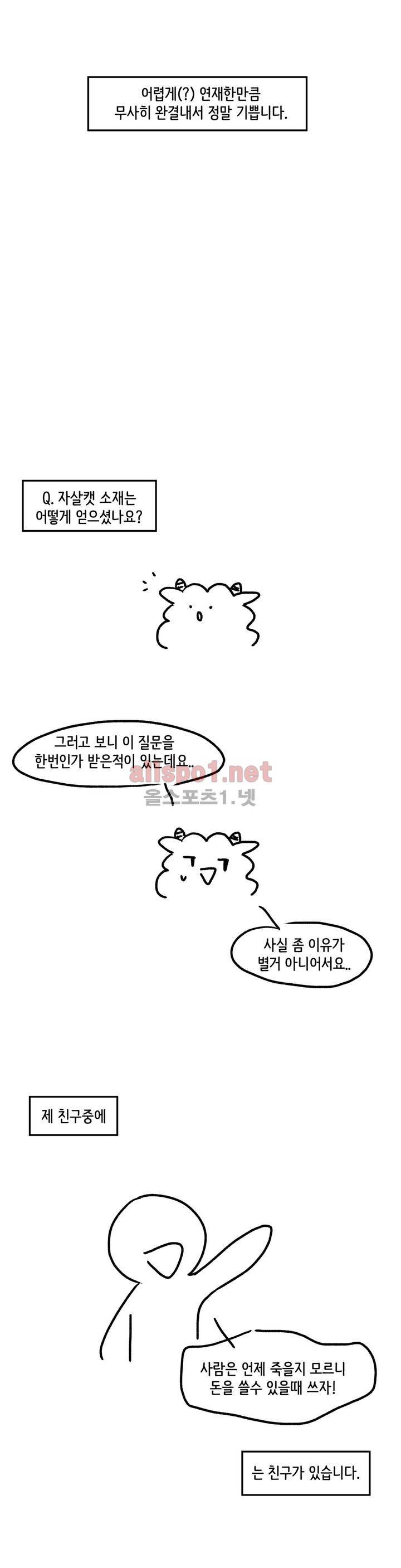 자살캣 후기 5