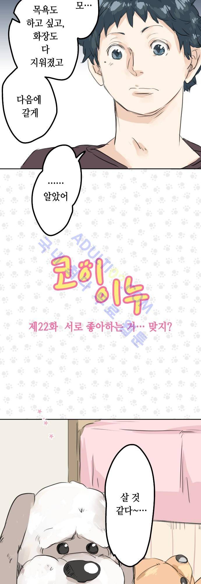 코이이누 22화 5