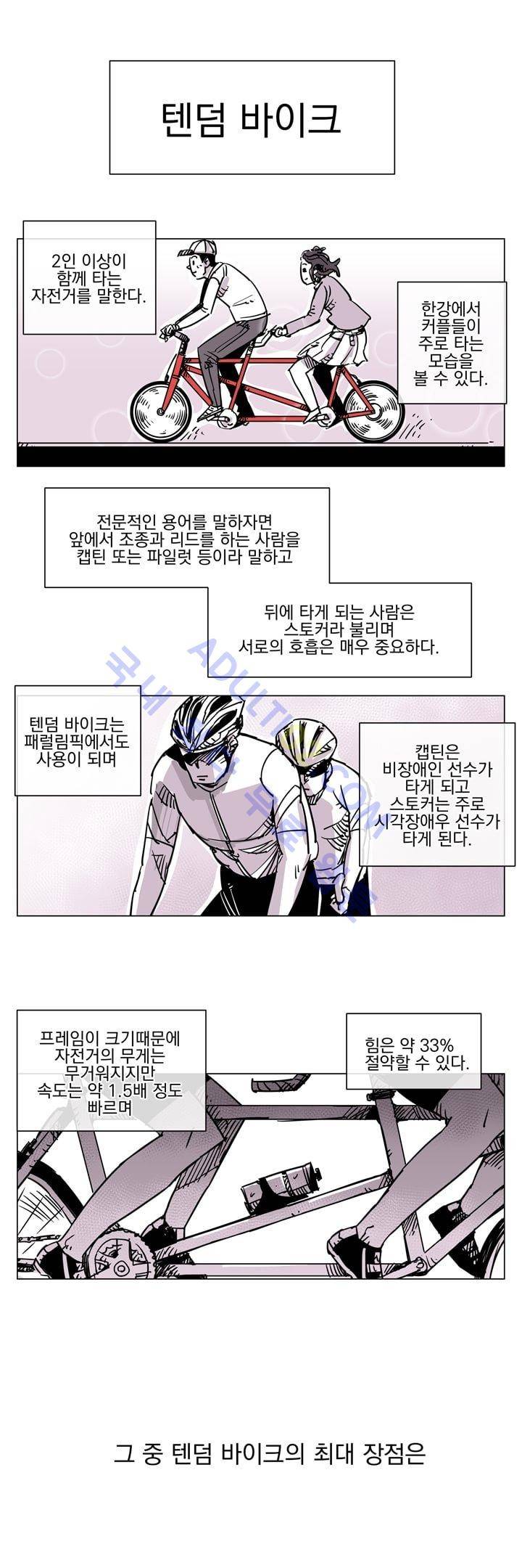 자전거 도둑 39화 1
