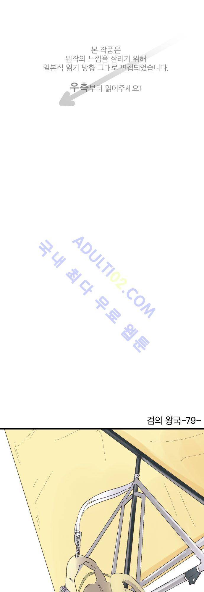 검의 왕국 79화 1