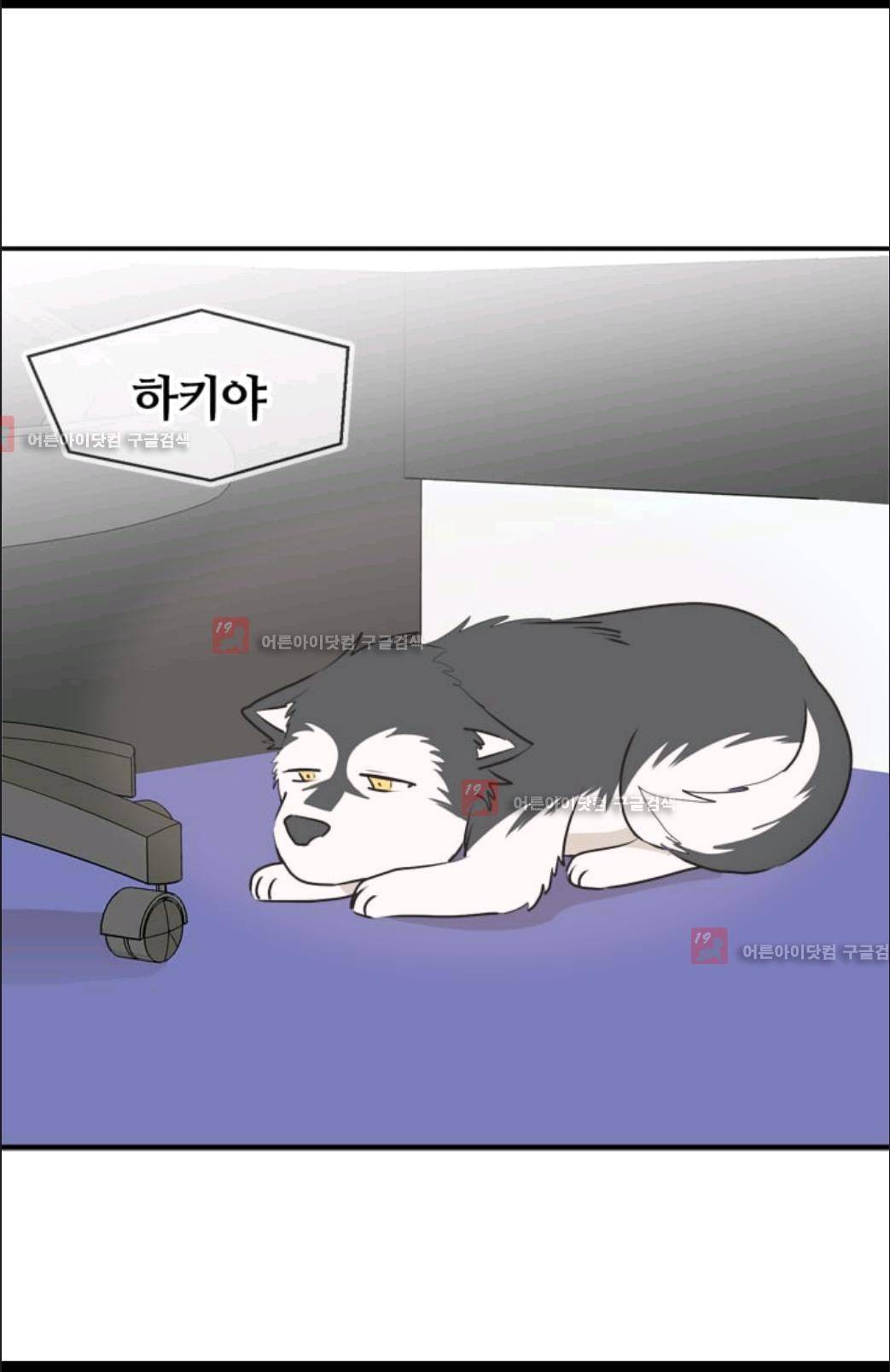 애니멀 아이즈 43화 5