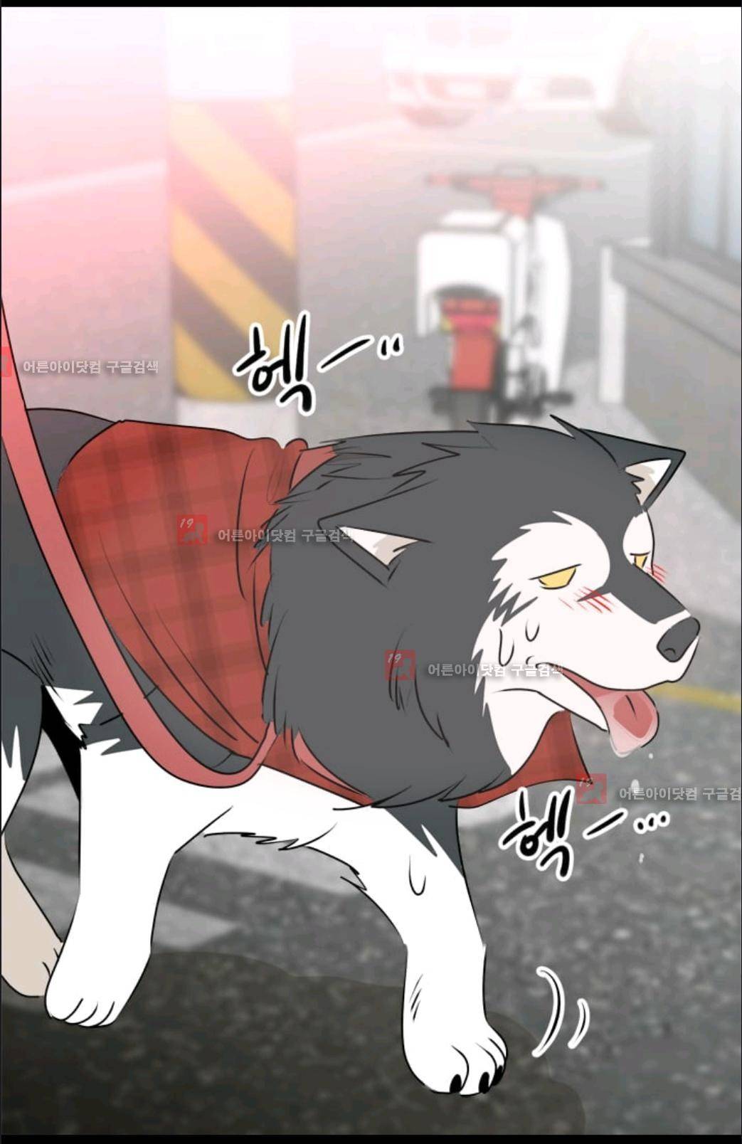 애니멀 아이즈 43화 34