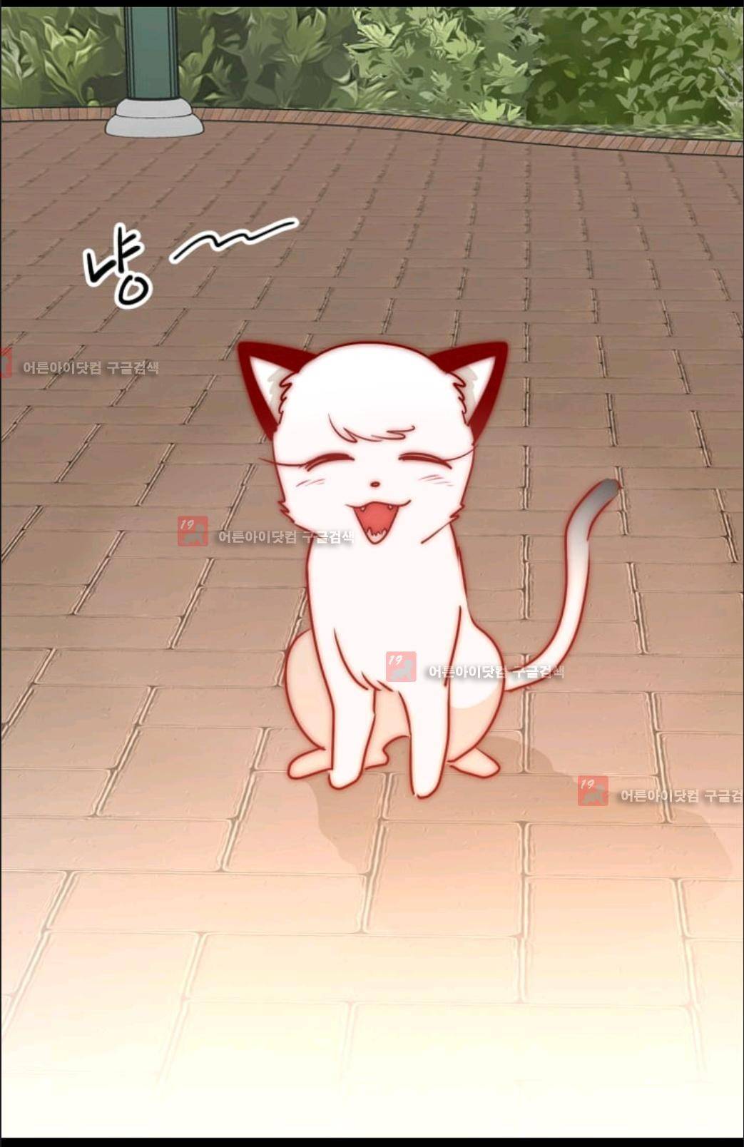 애니멀 아이즈 62화 11