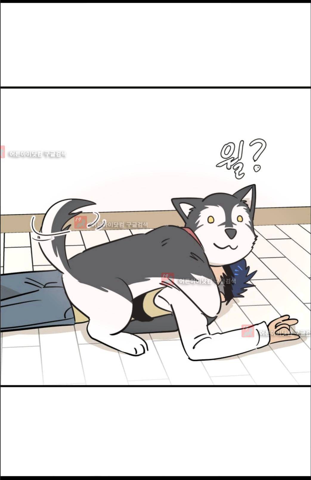 애니멀 아이즈 70화 6
