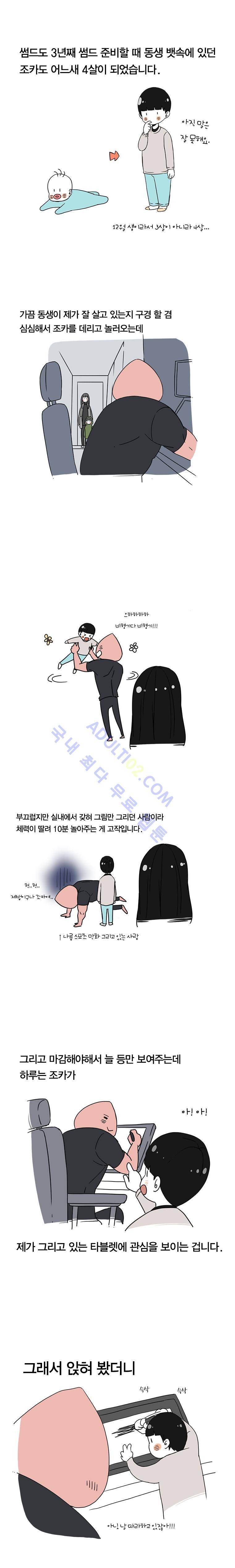 썸머드림 시즌3 후기 2