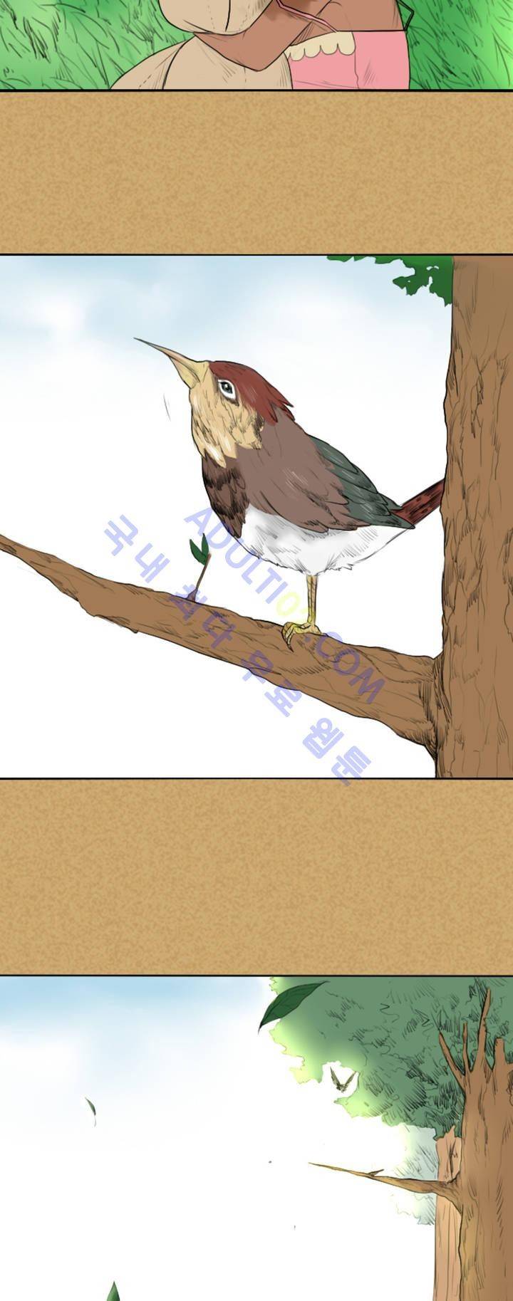 호레 5화 2
