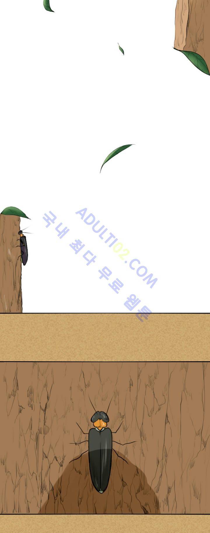 호레 5화 3