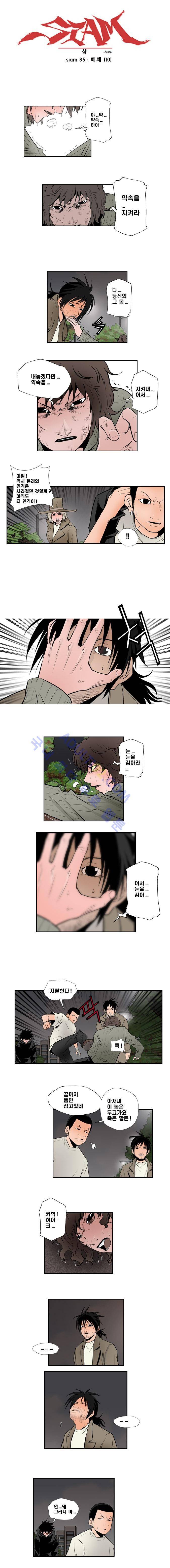 샴  85화 1
