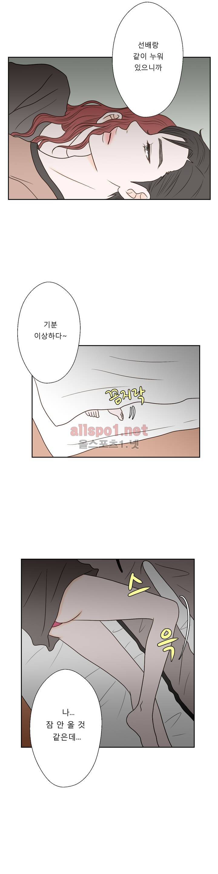 허니 베드톡 19화 (철벽 치는 남자 상) 13