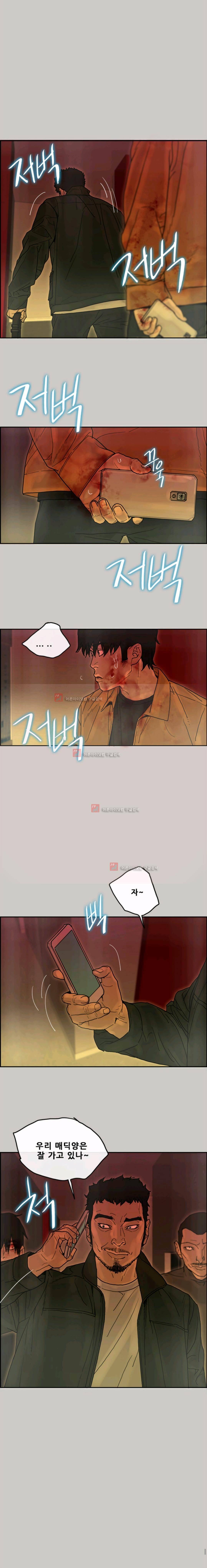 꼬리 42화 7