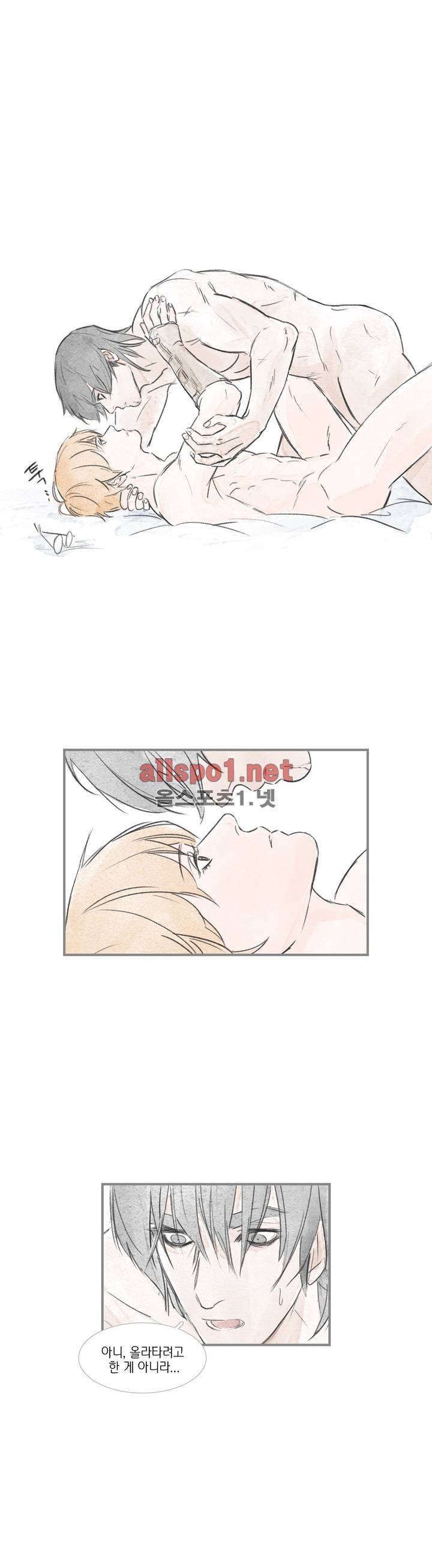 돌핀 요정 48화 14