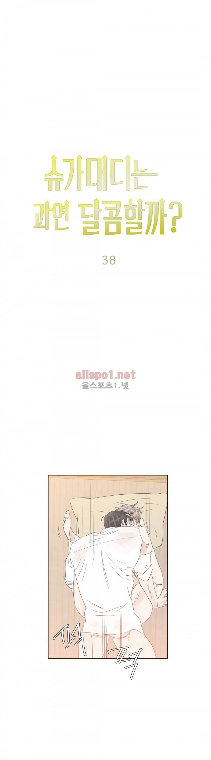 슈가대디는 과연 달콤할까? 38화 13
