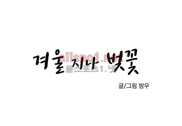 겨울 지나 벚꽃 10화 12