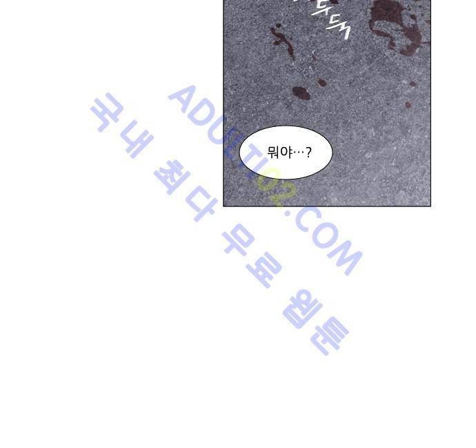 메시아 콤플렉스 52화 17