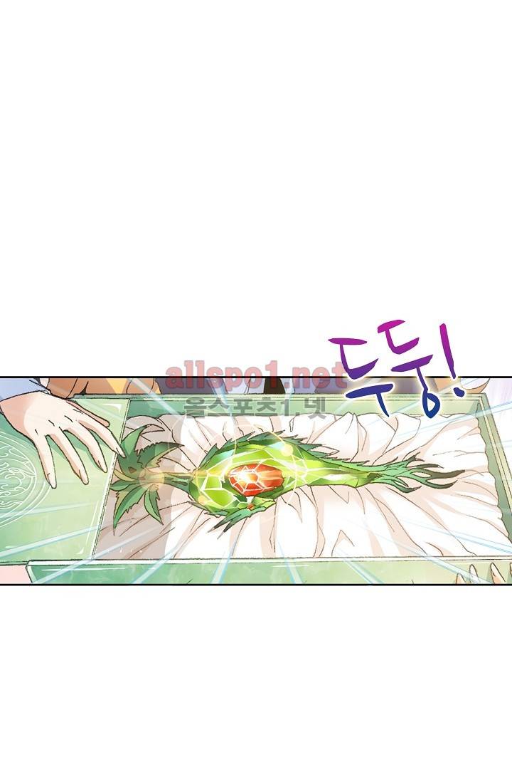 엘피스 전기: SOUL LAND 263화 40
