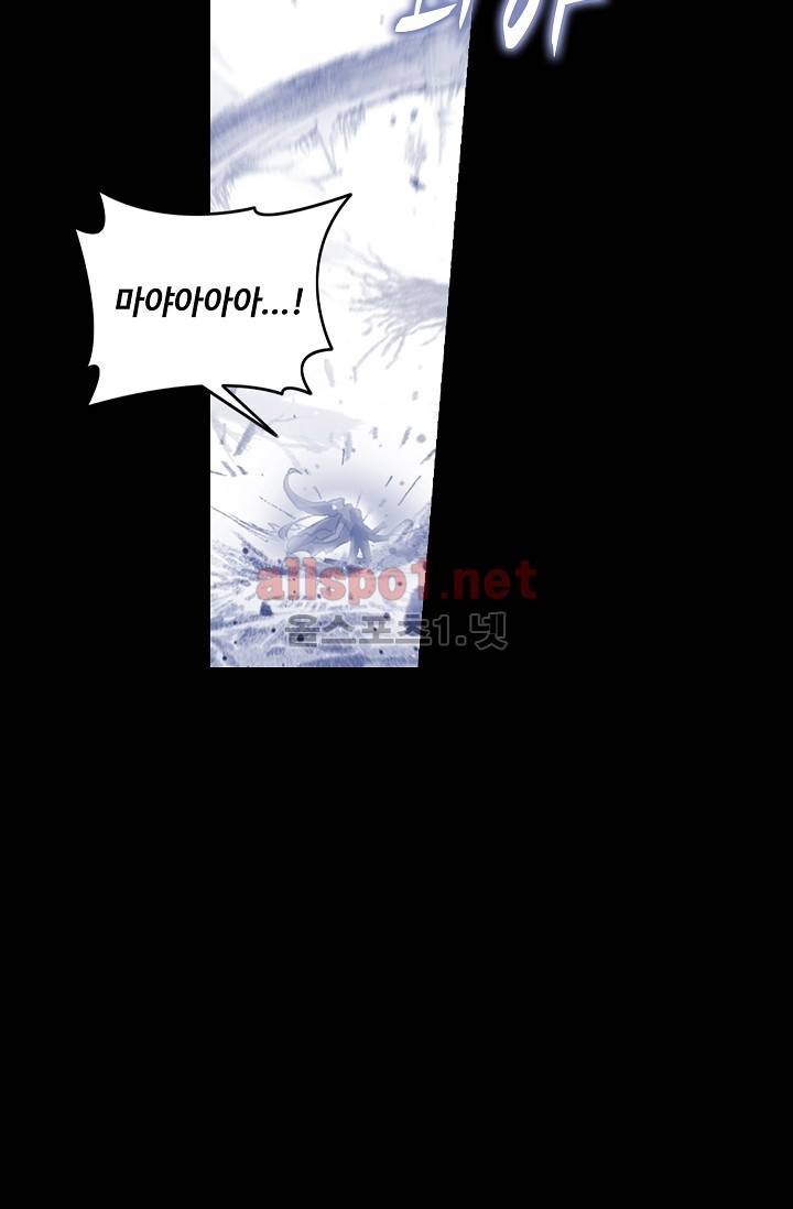 엘피스 전기: SOUL LAND 263화 44
