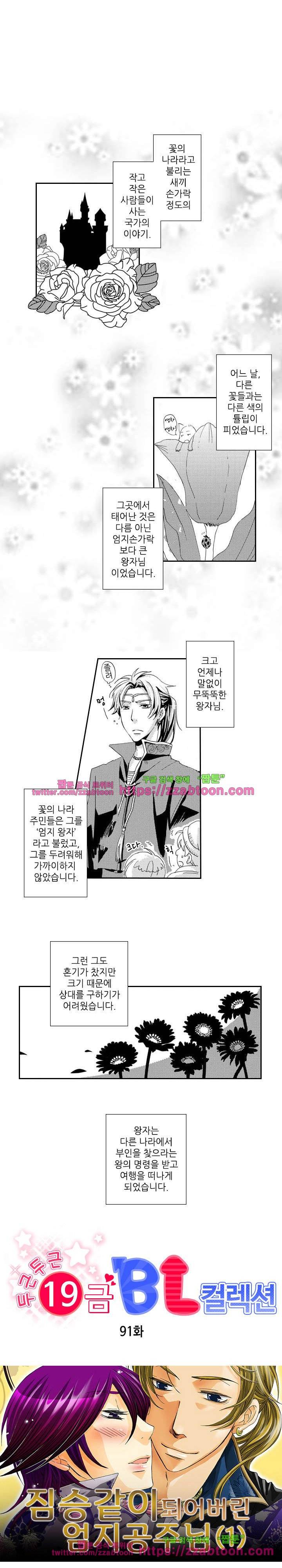 두근두근 19금 BL 컬렉션 91화 1