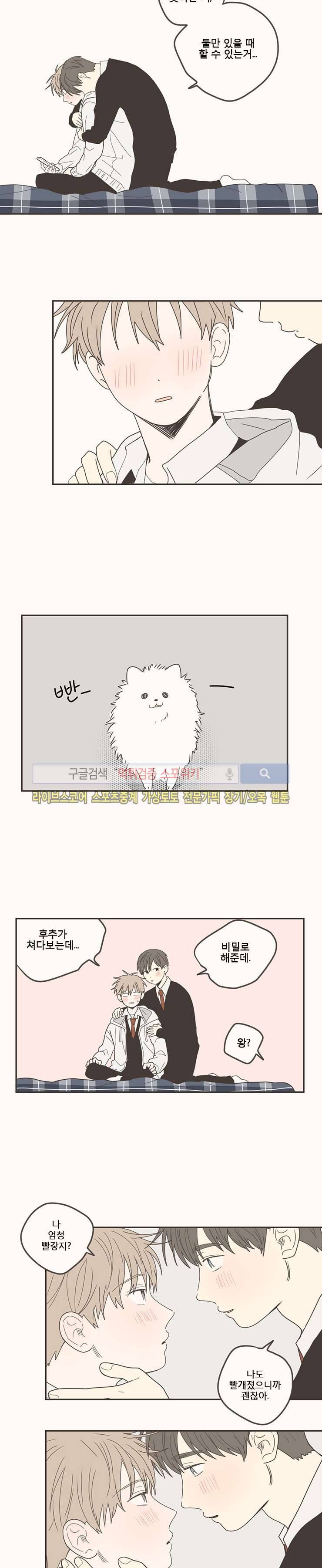 미숙한 표현 마지막화 12