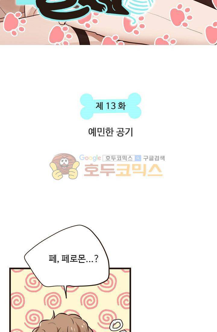 멍멍냥냥 13화 - 예민한 공기 6